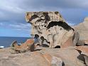 Kangaroo Island (60)